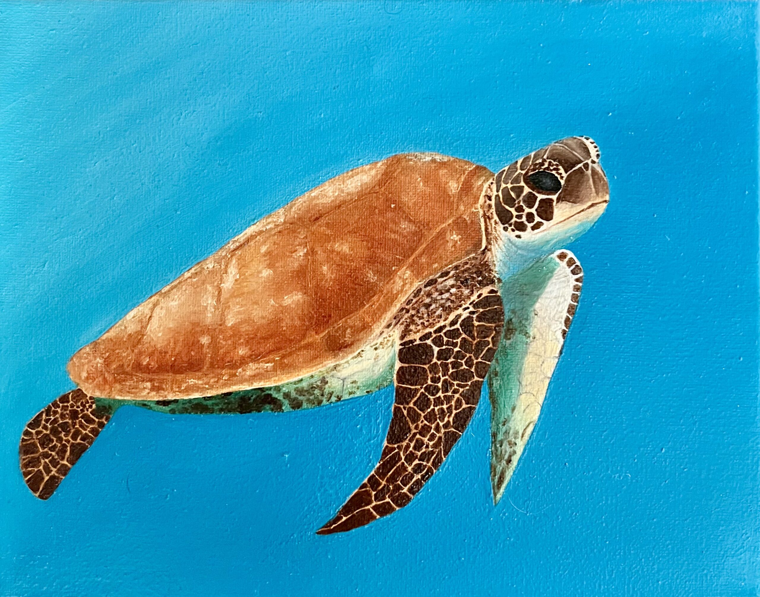 Close-up detail of sea turtle shell and fins in oil painting