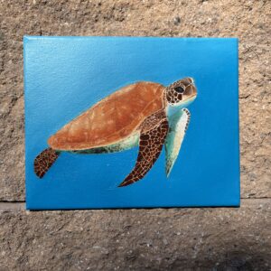 Realistic sea turtle oil painting in blue ocean water on canvas