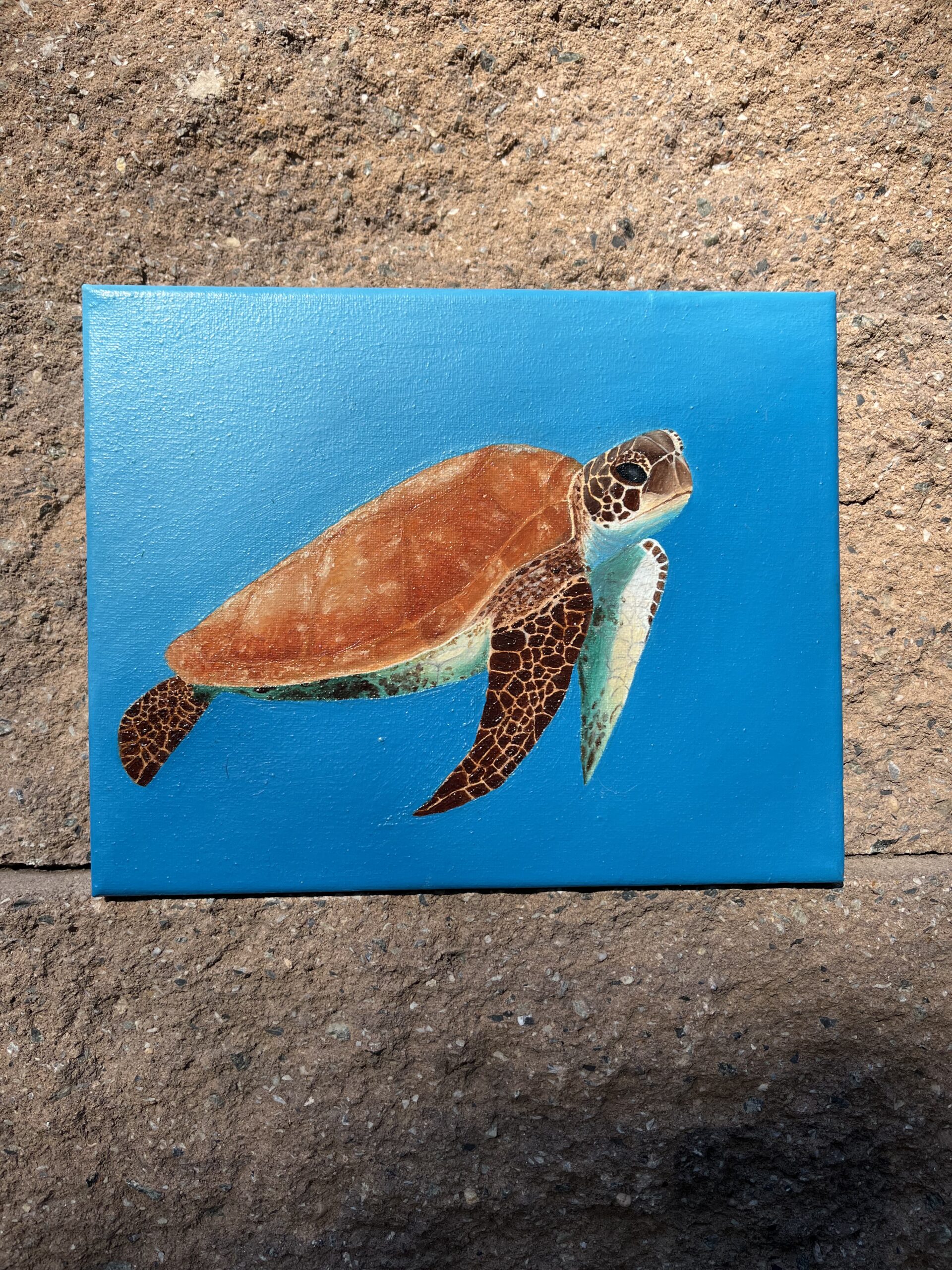 Realistic sea turtle oil painting in blue ocean water on canvas