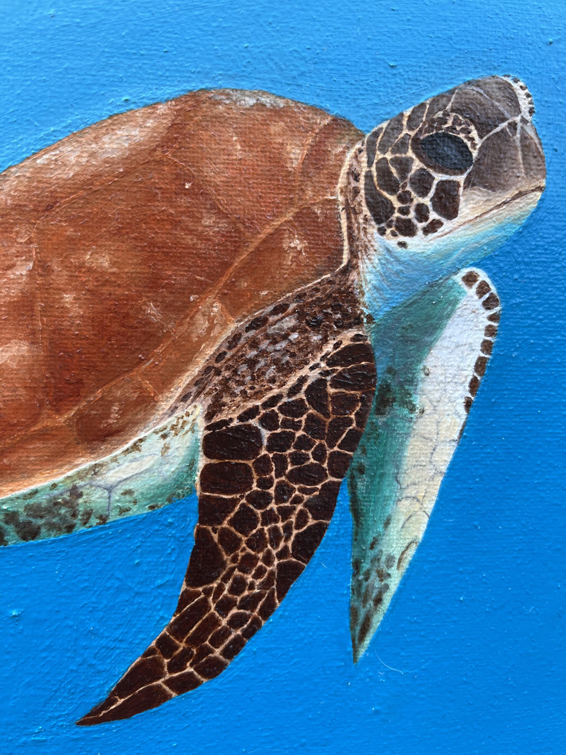 Close-up detail of sea turtle shell and fins in oil painting