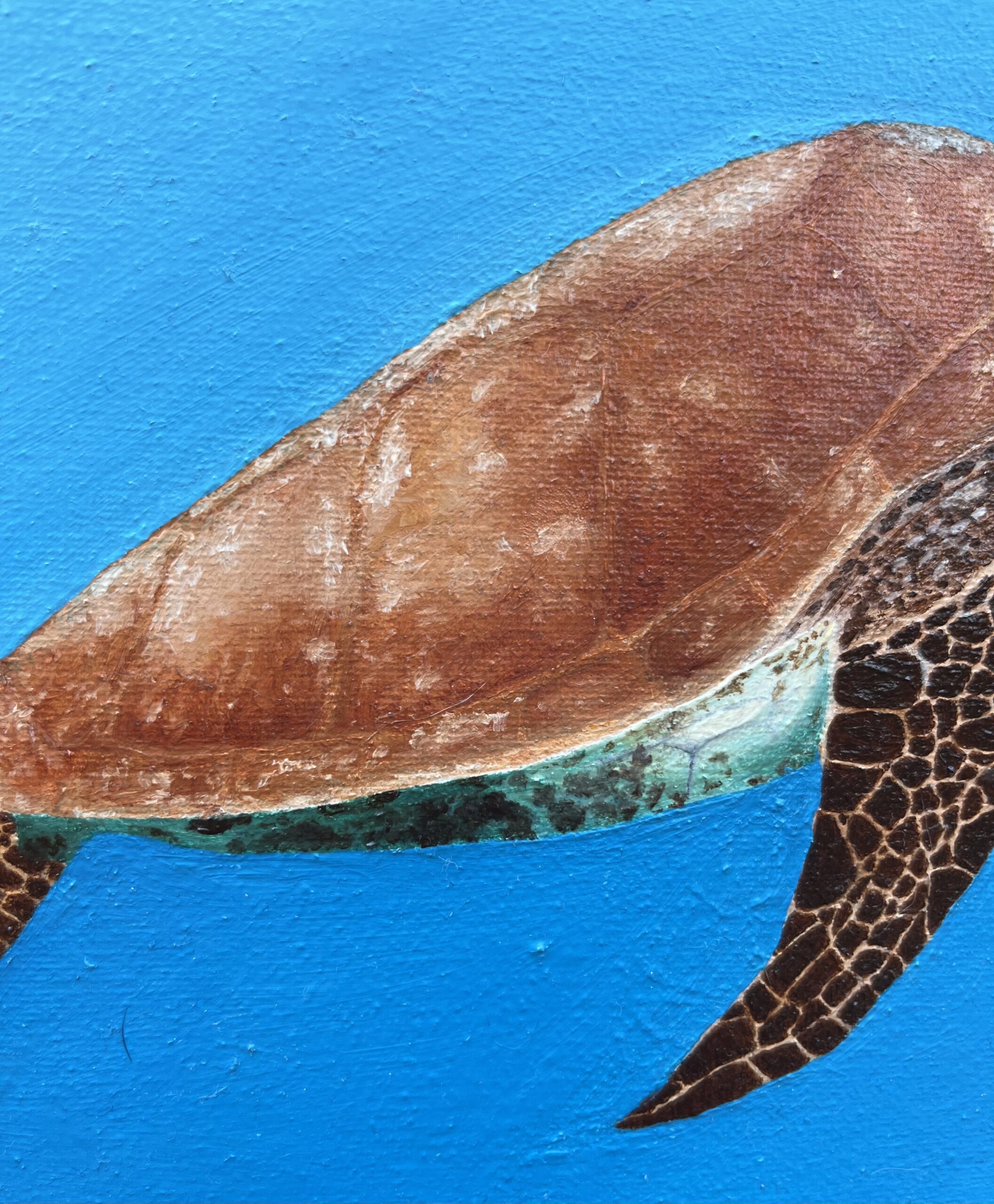 Close-up detail of sea turtle shell and fins in oil painting