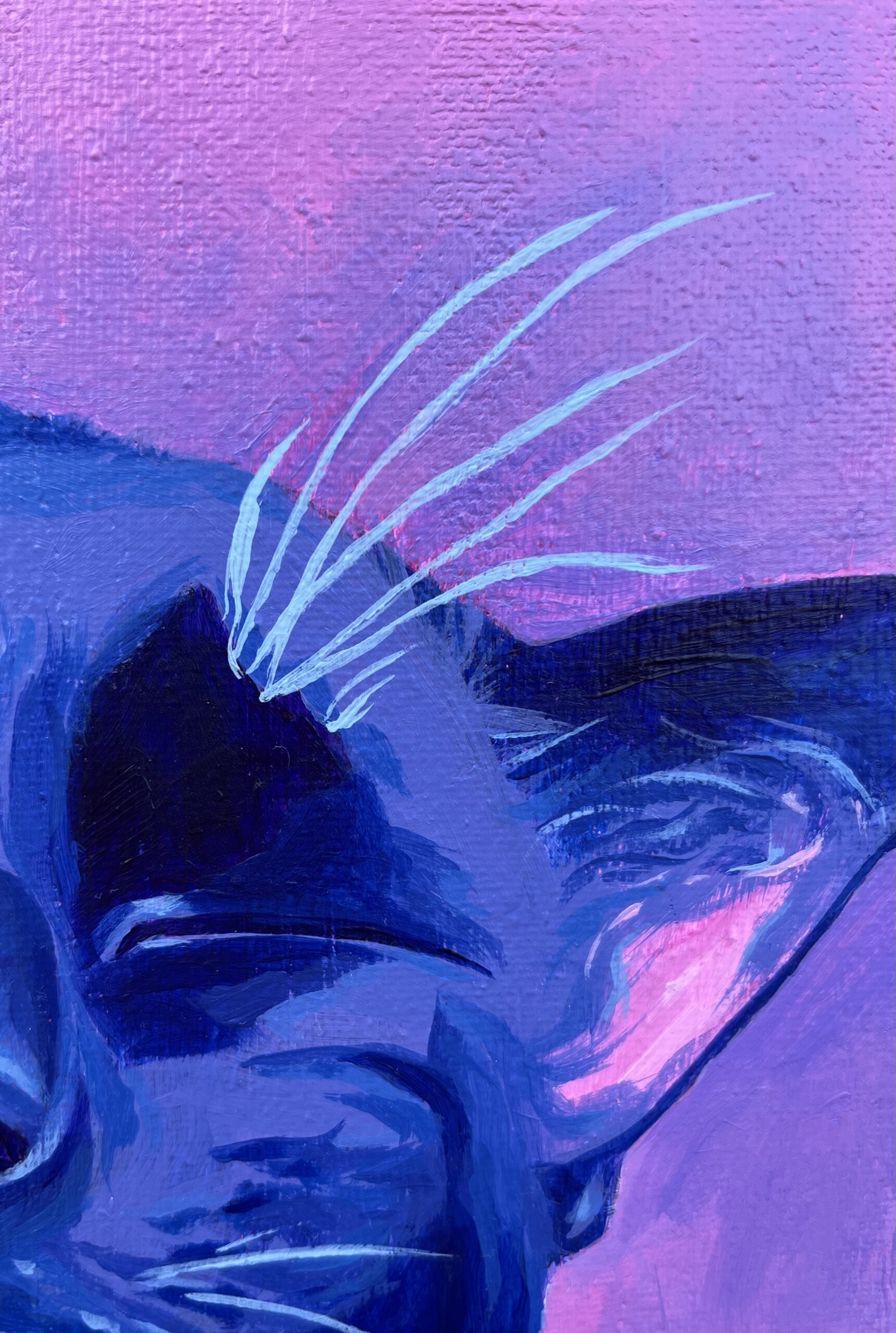 Close-up of expressive black cat painting by Olivia Catherine