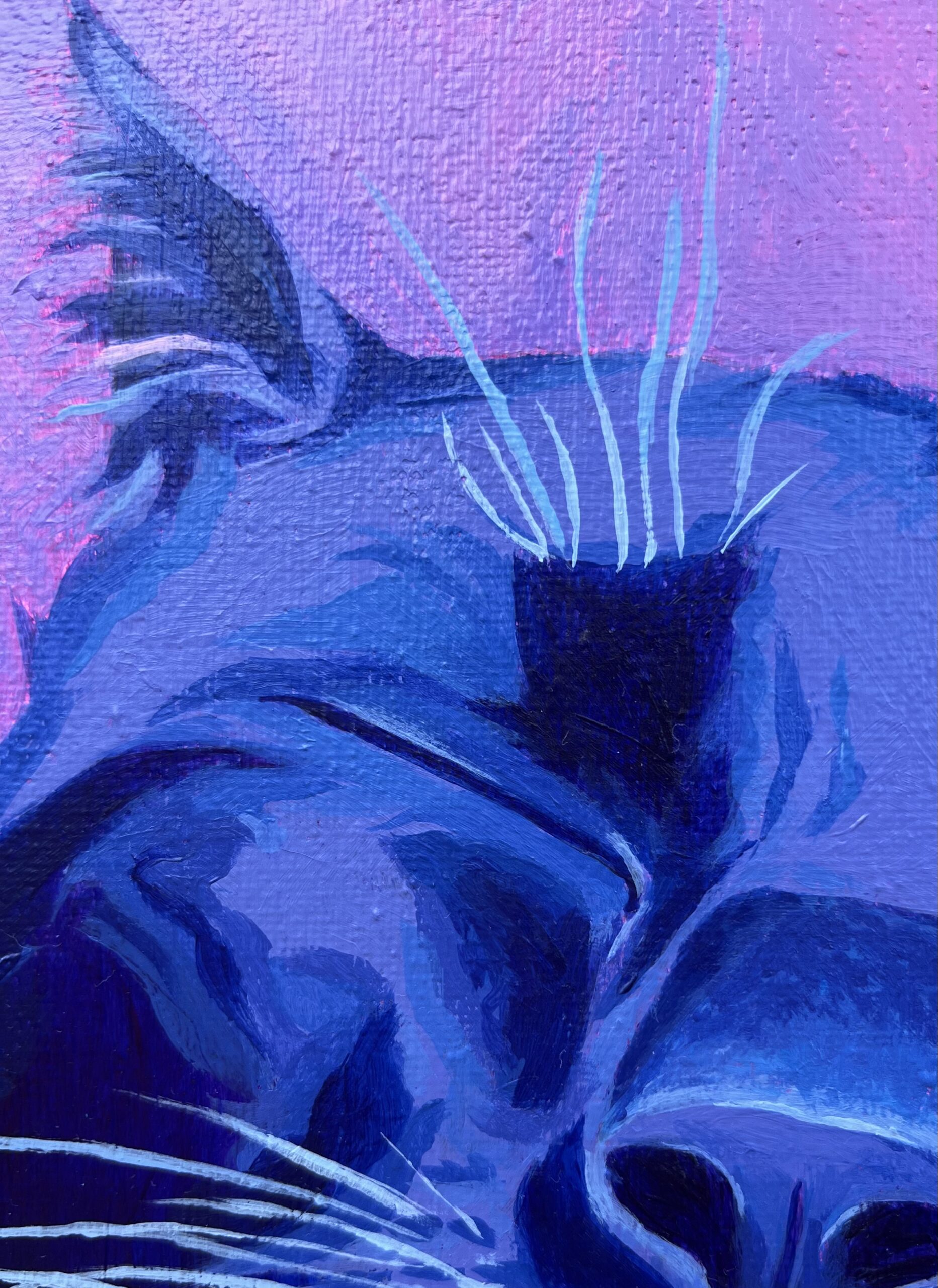 Close-up of expressive black cat painting by Olivia Catherine