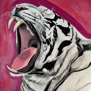 Acrylic painting of a White Bengal tiger outlined in pink against a red and pink background, titled “Roar!” by Olivia Catherine