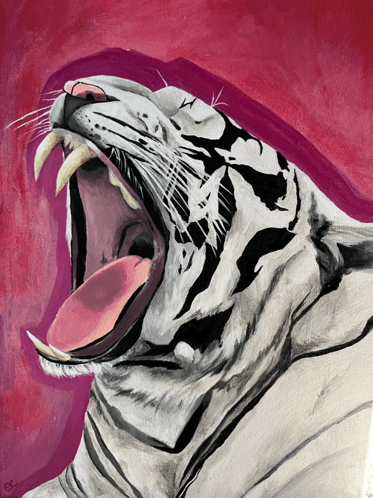 Acrylic painting of a White Bengal tiger outlined in pink against a red and pink background, titled “Roar!” by Olivia Catherine